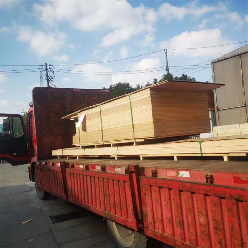 黑龙江伊春南岔至塔城货运专线，一站式物流服务助您成功